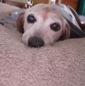 Meet your Posher, Mackenzie